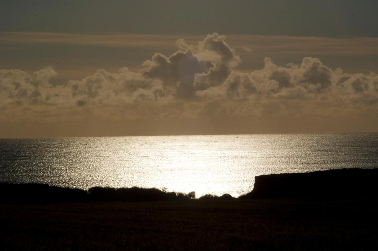 Hookless Holiday Homes Fethard on Sea Eksteriør bilde
